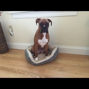 Meet your Posher, Beth